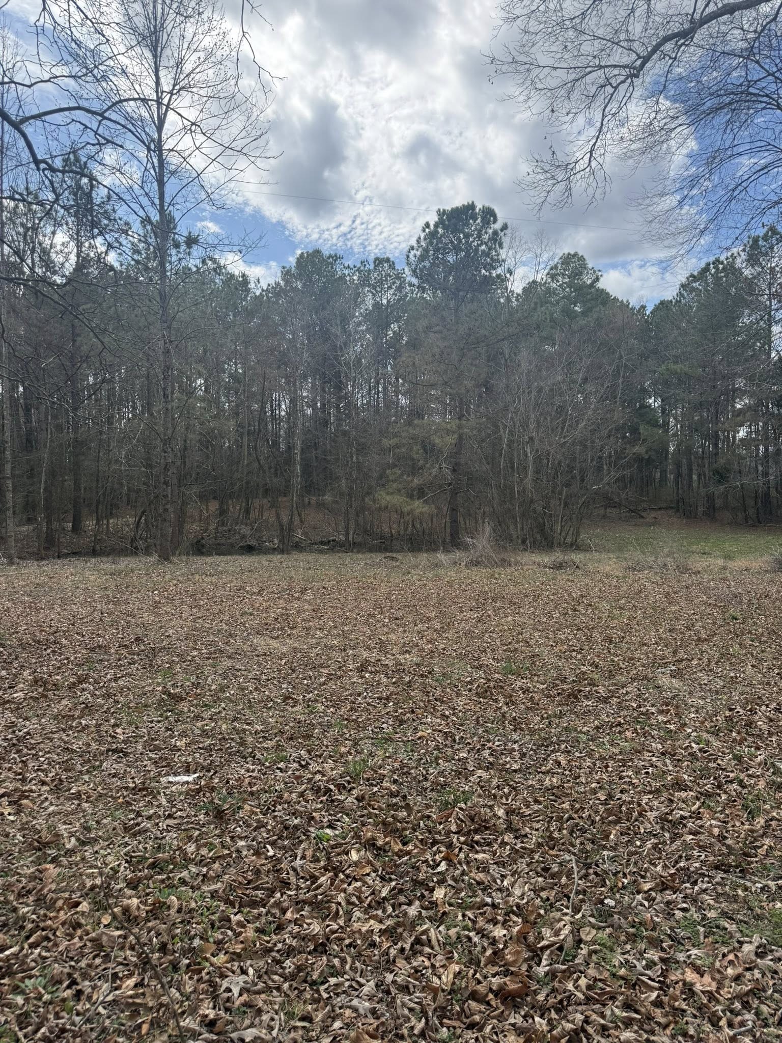 5583 Pedigap Road Morrison TN 37357