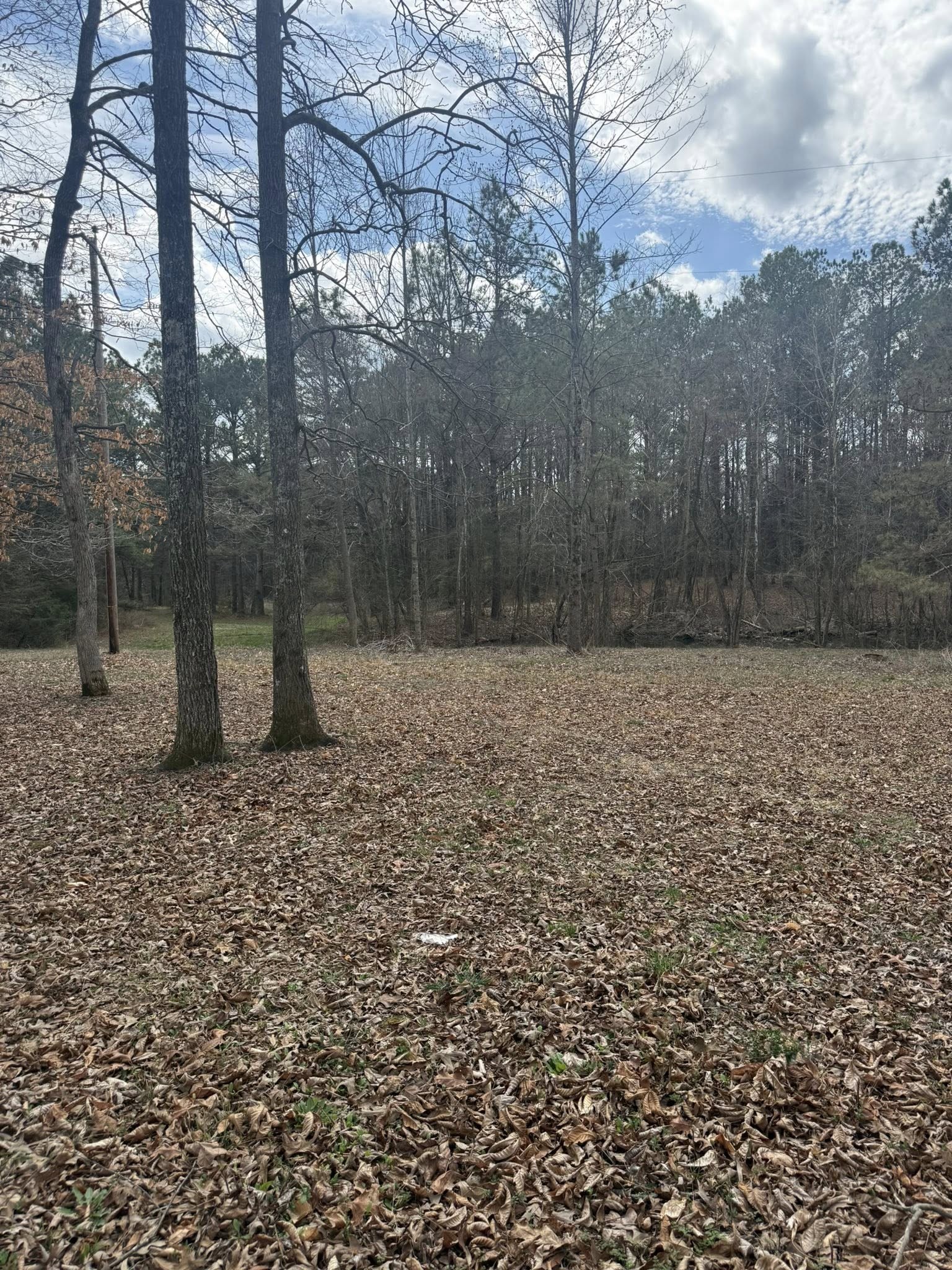 5583 Pedigap Road Morrison TN 37357