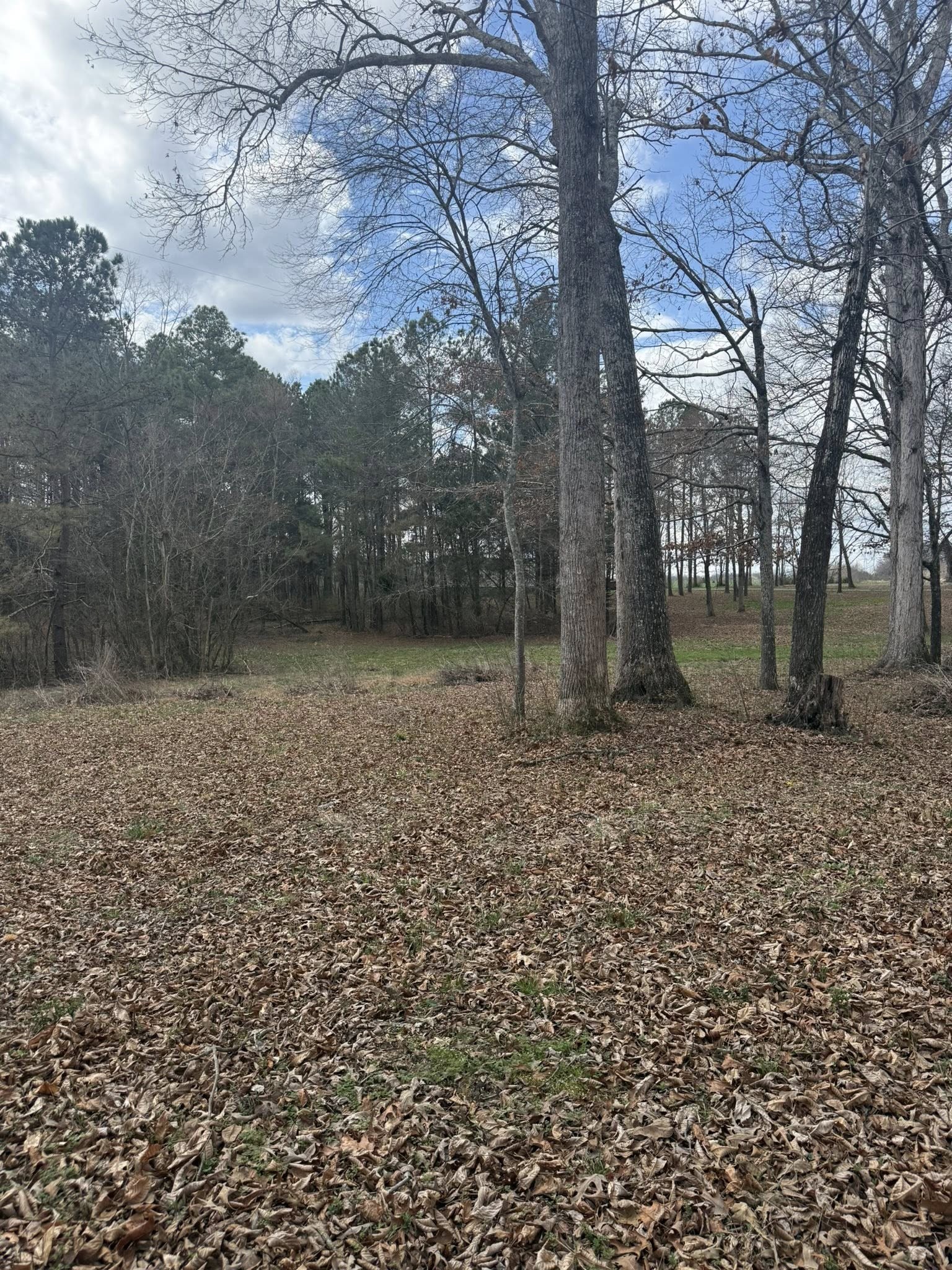 5583 Pedigap Road Morrison TN 37357