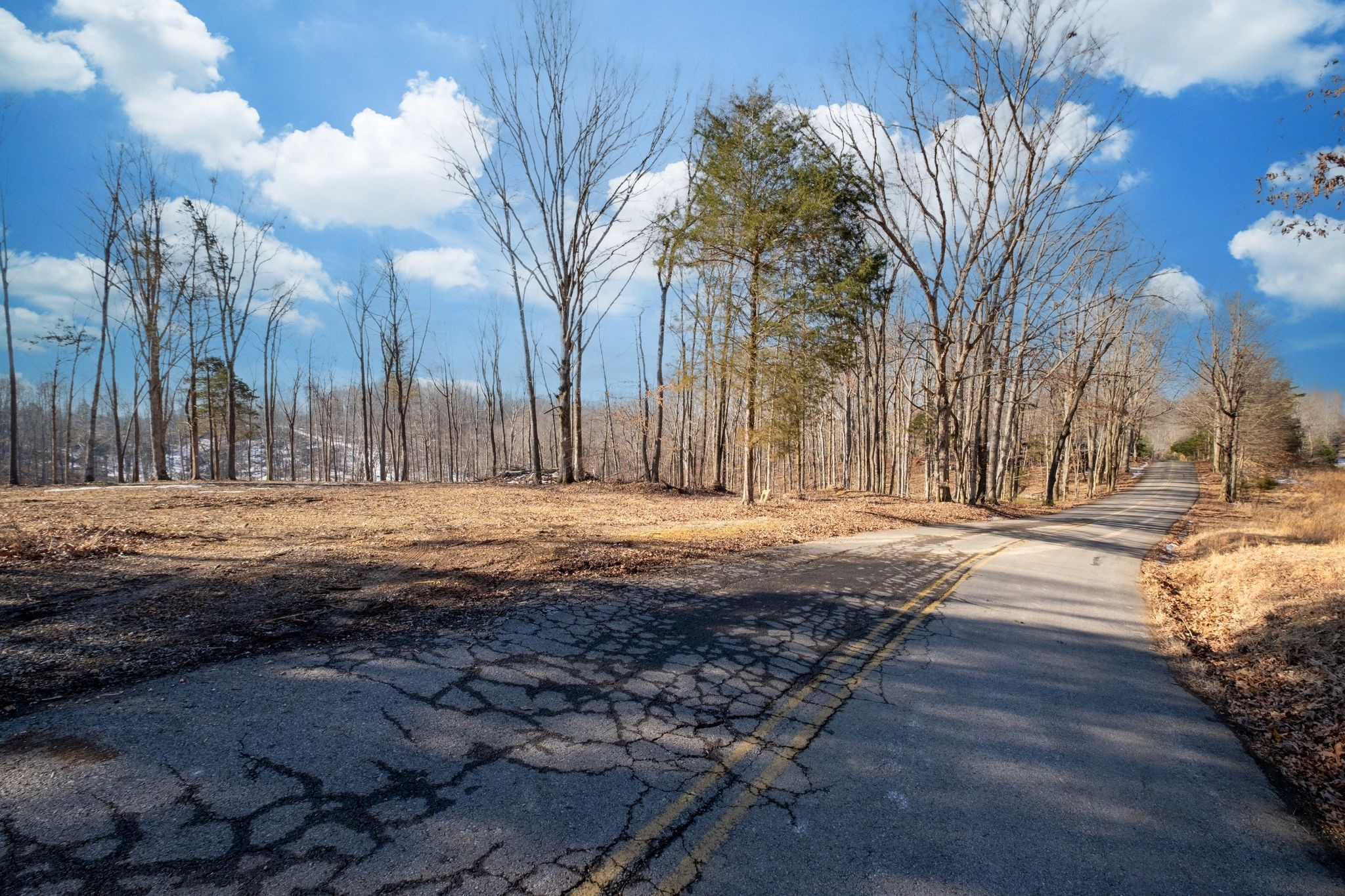 0 Singleton Road Dickson TN 37055