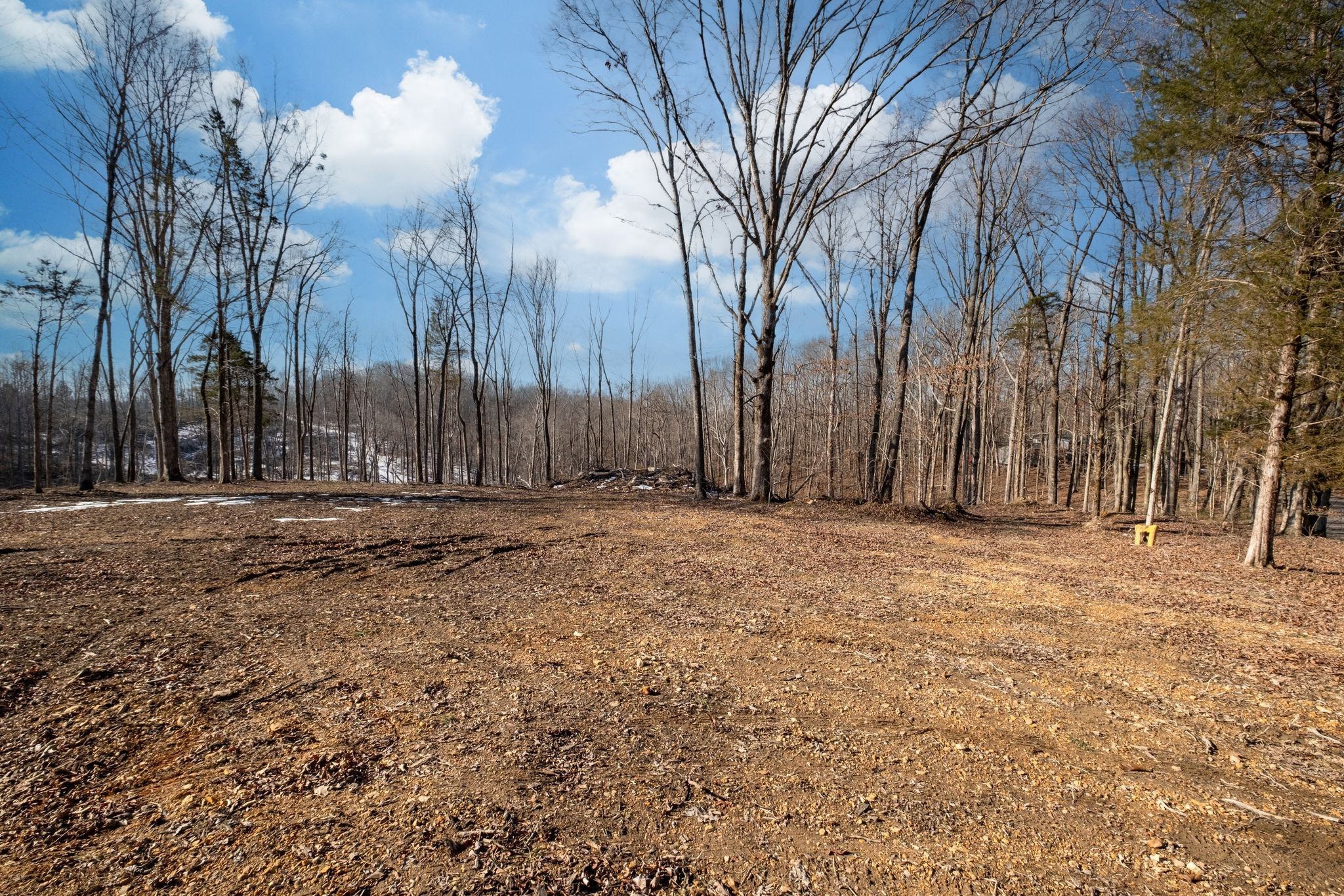 0 Singleton Road Dickson TN 37055