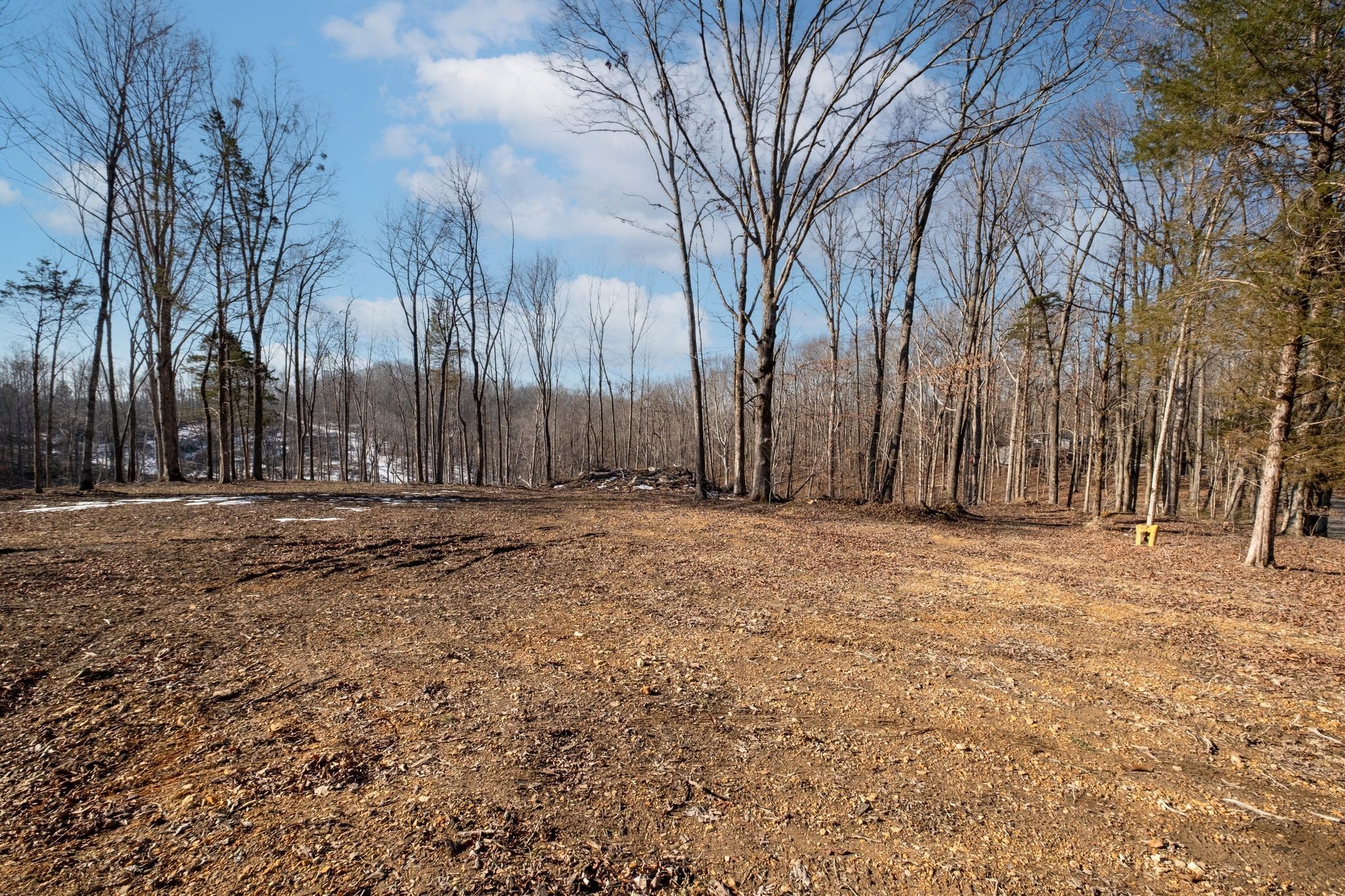 0 Singleton Road Dickson TN 37055