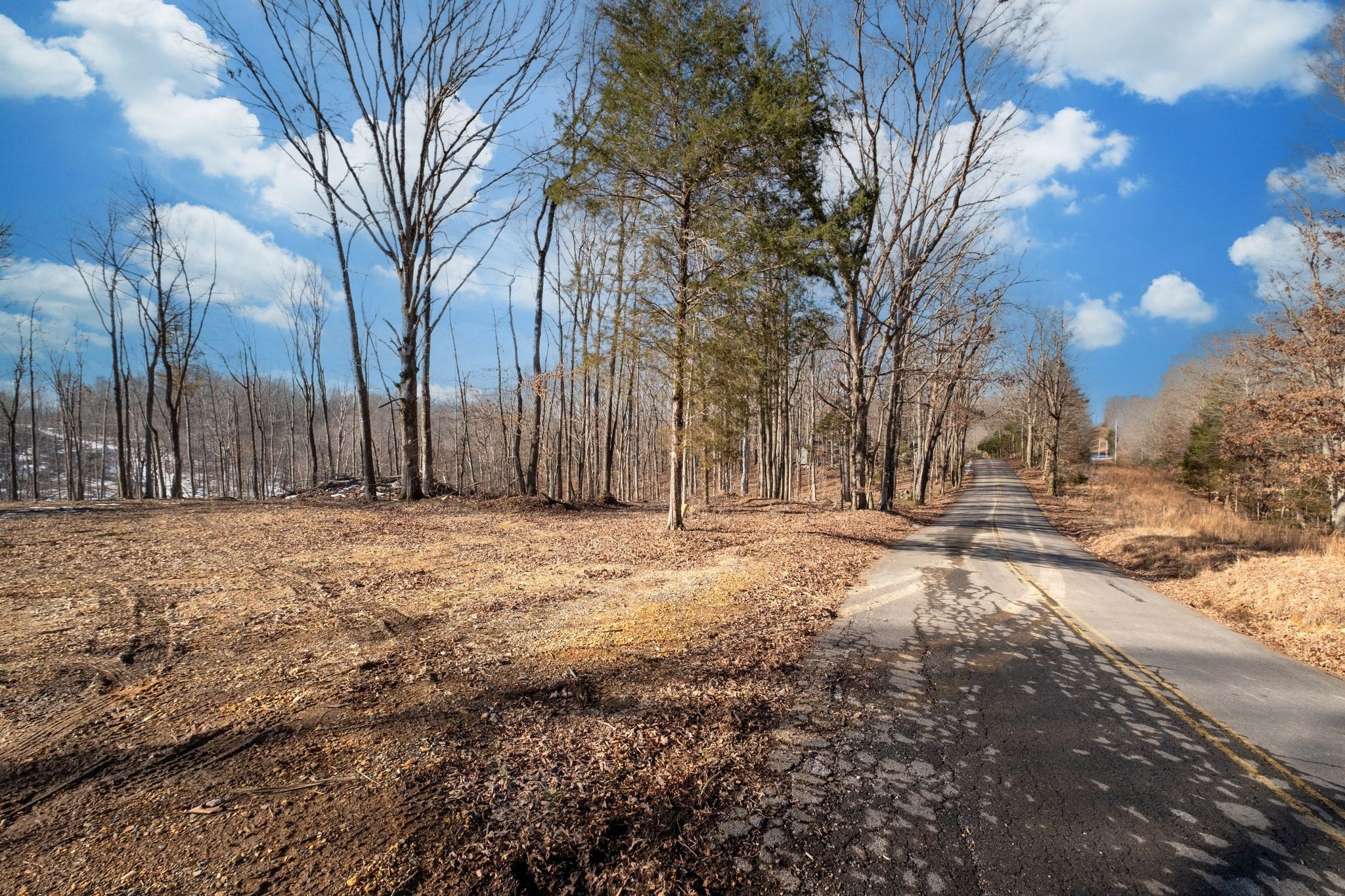 0 Singleton Road Dickson TN 37055