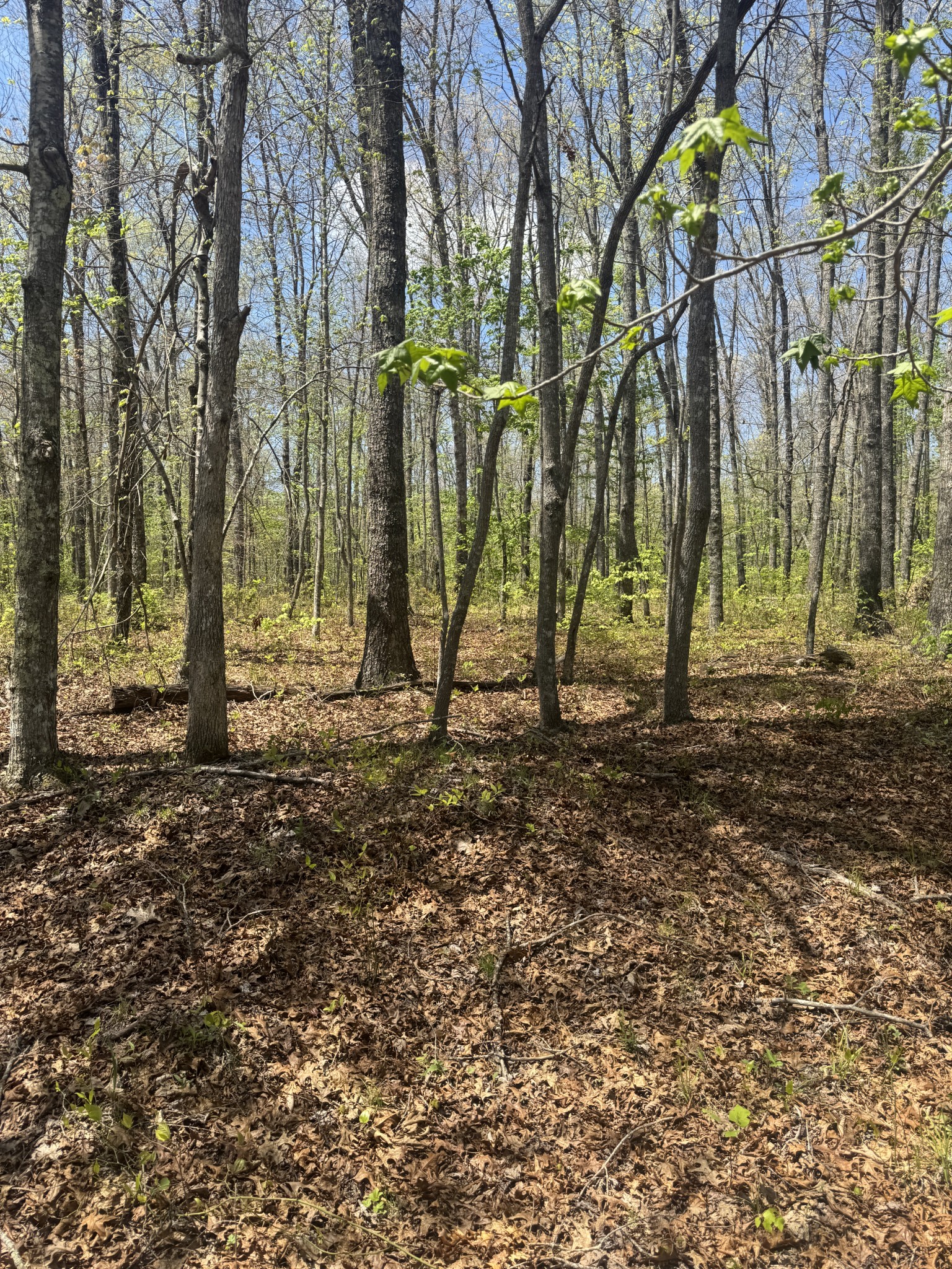 0 Doe Creek Lake Drive Sparta TN 38583