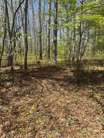 0 Doe Creek Lake Drive Sparta TN 38583