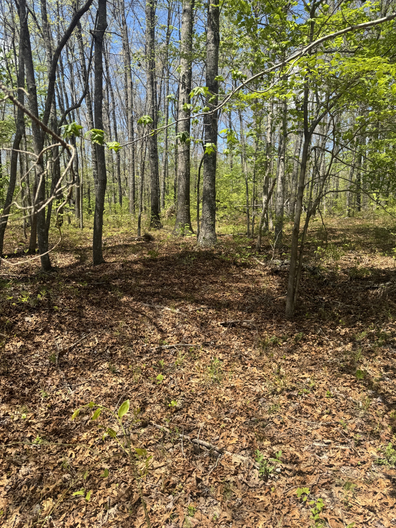 0 Doe Creek Lake Drive Sparta TN 38583