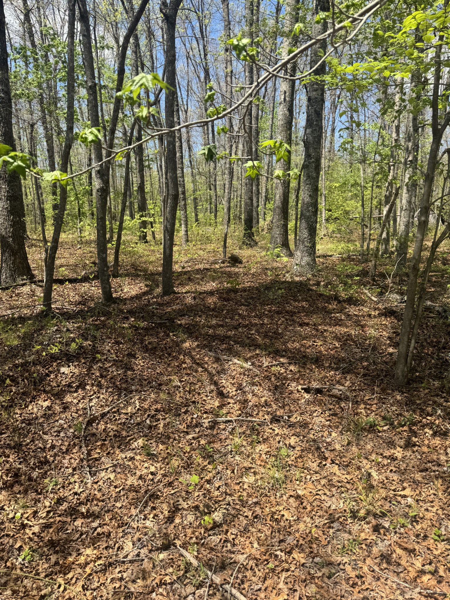 0 Doe Creek Lake Drive Sparta TN 38583