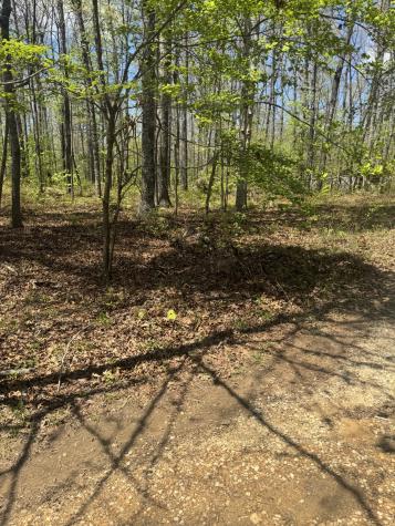 0 Doe Creek Lake Drive Sparta TN 38583