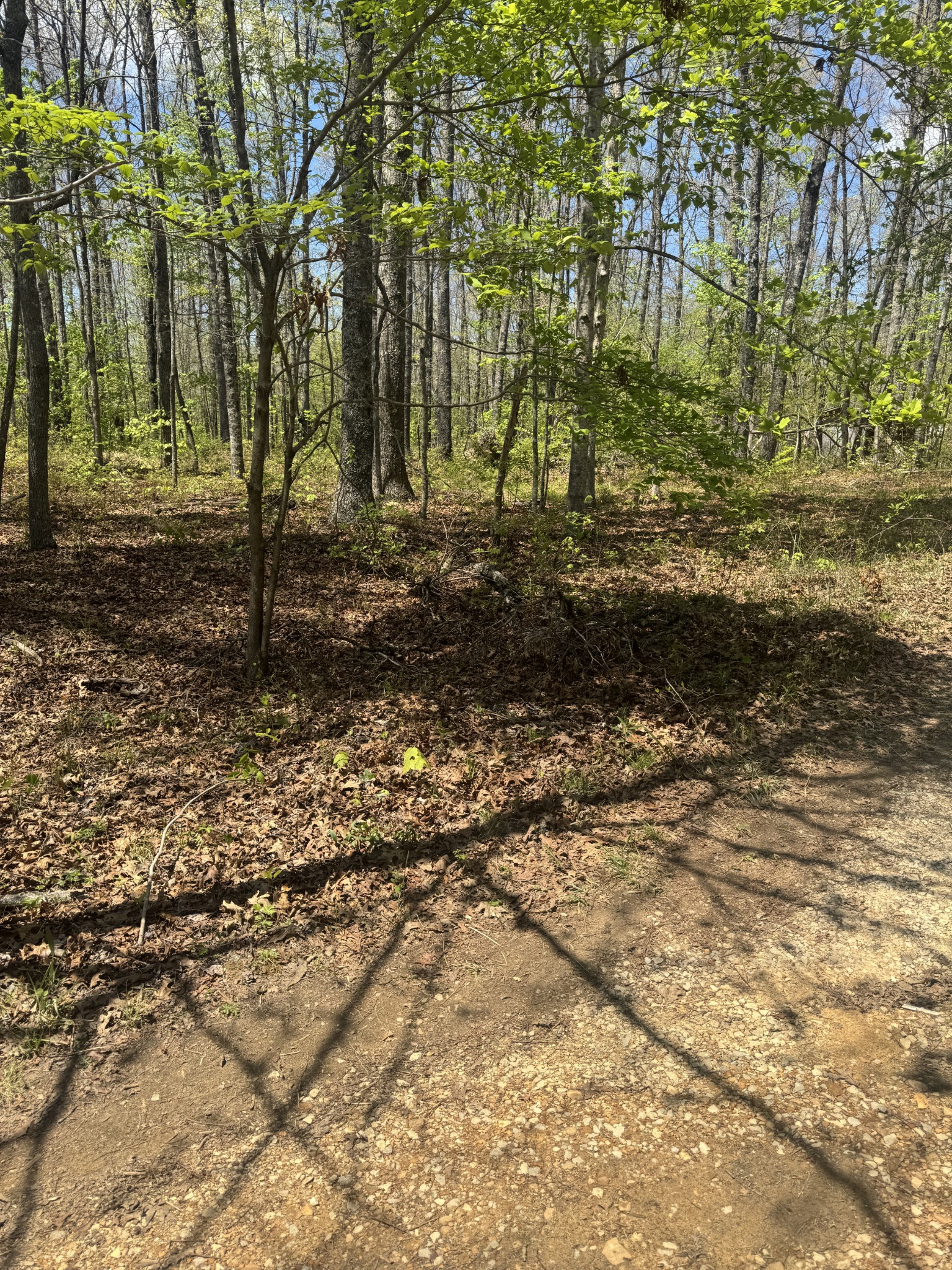 0 Doe Creek Lake Drive Sparta TN 38583