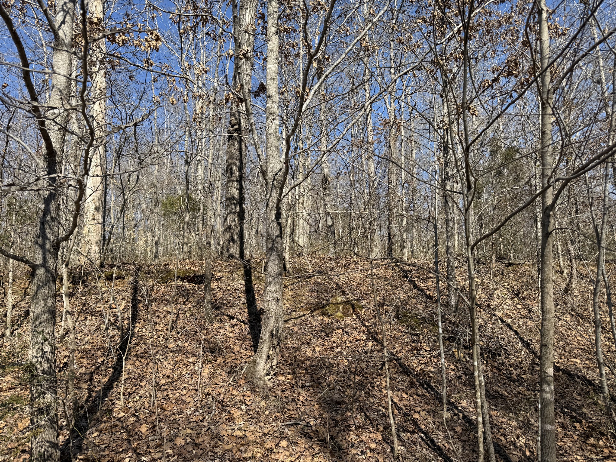 0 Hurricane Loop Tennessee Ridge TN 37178