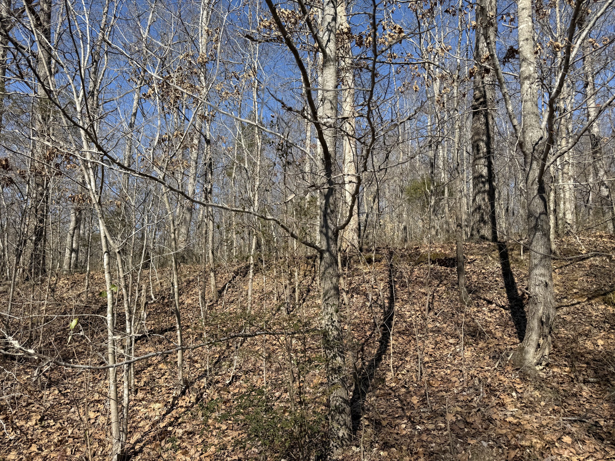 0 Hurricane Loop Tennessee Ridge TN 37178