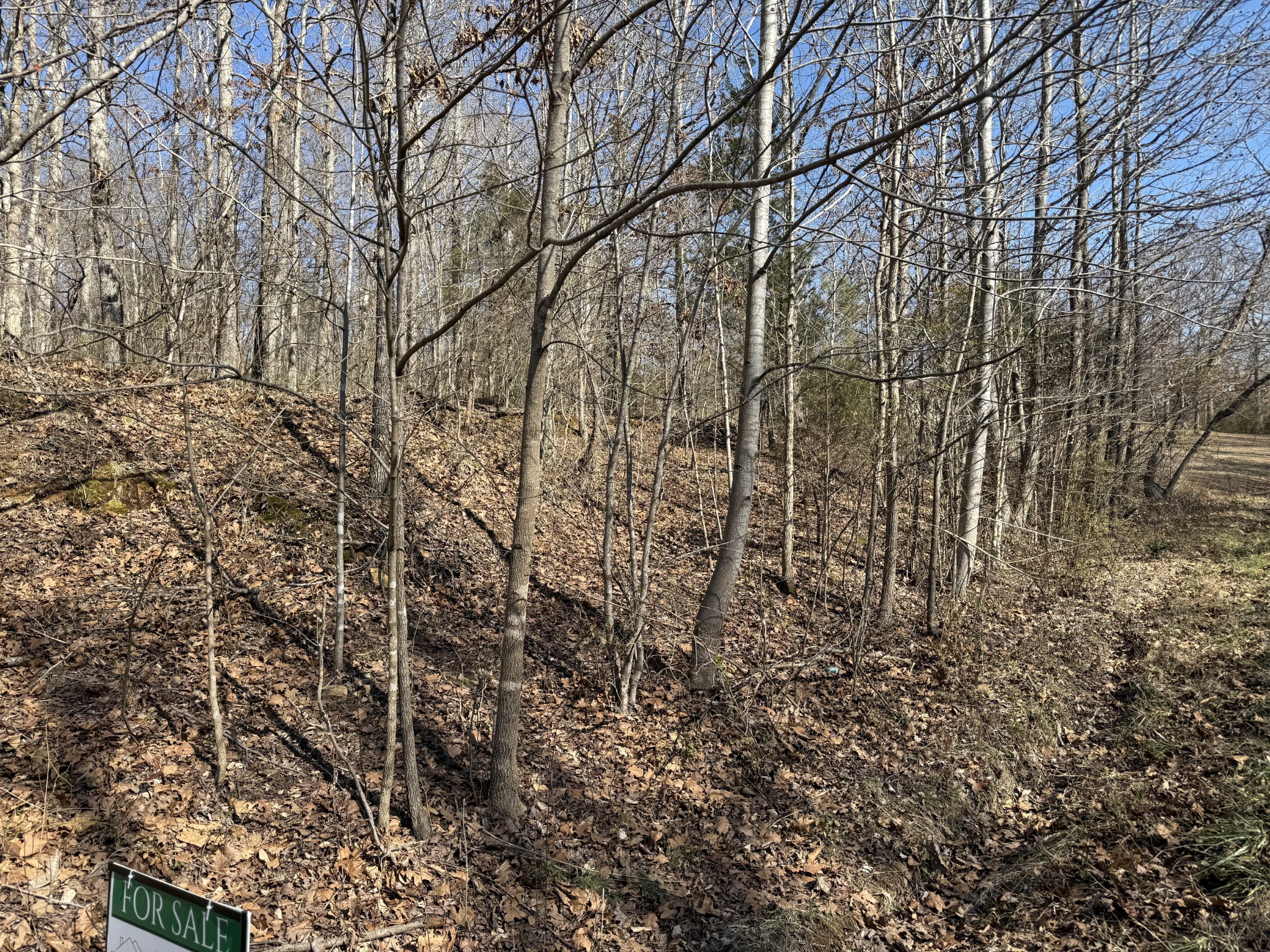 0 Hurricane Loop Tennessee Ridge TN 37178