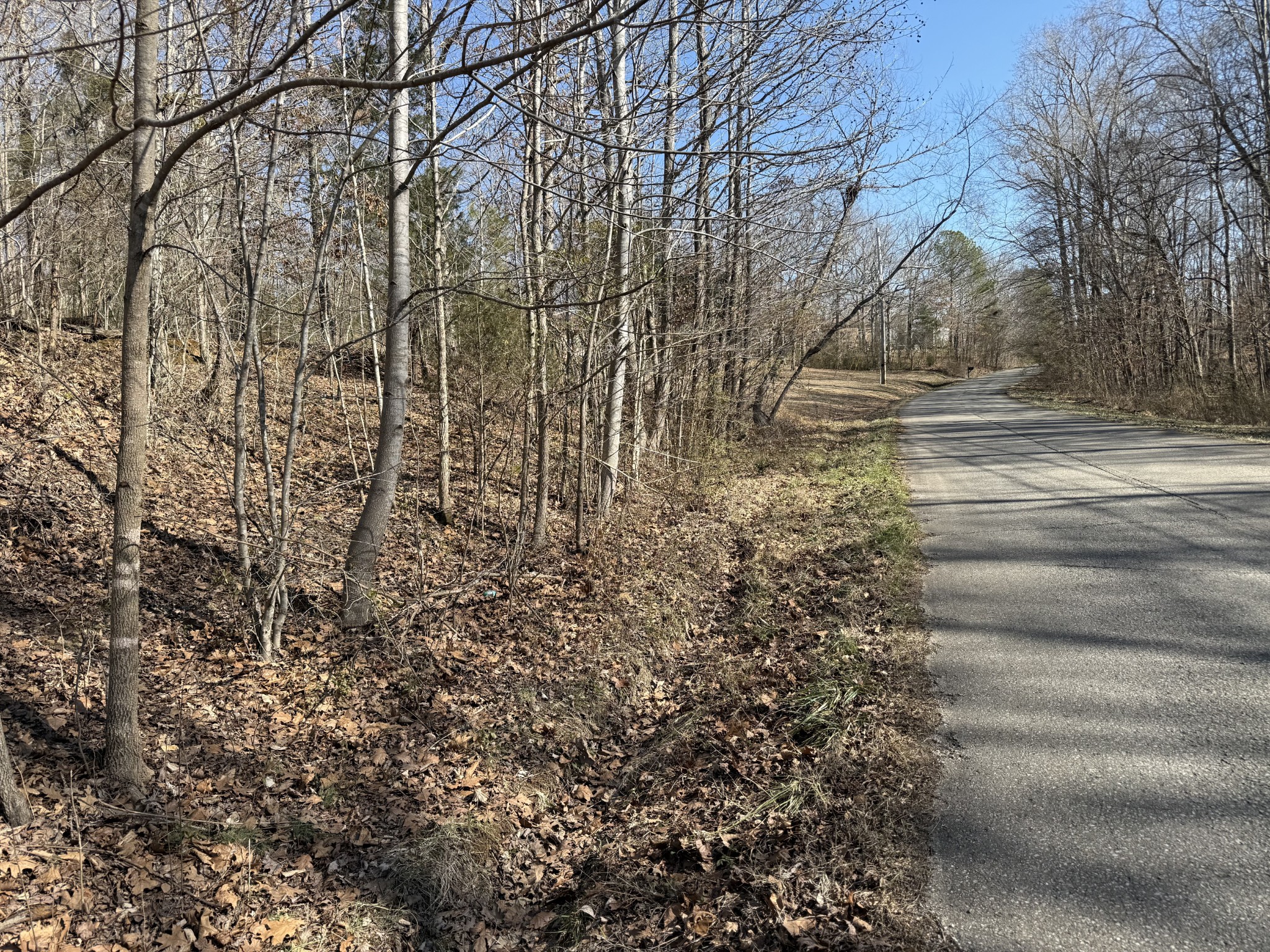 0 Hurricane Loop Tennessee Ridge TN 37178