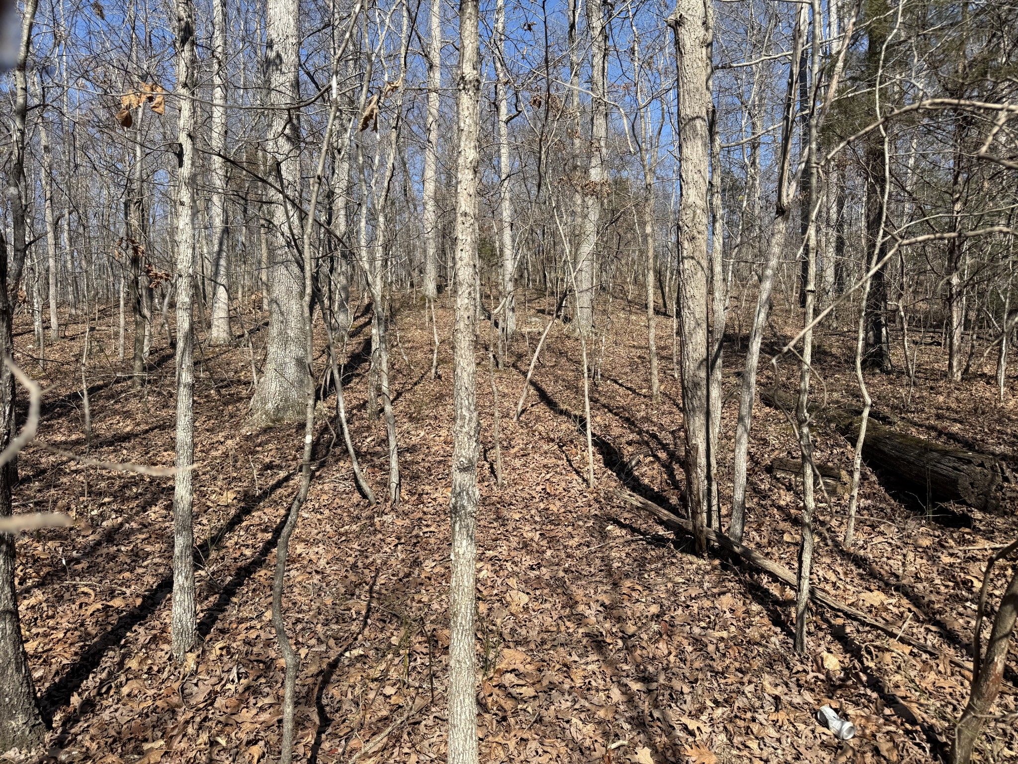 0 Hurricane Loop Tennessee Ridge TN 37178