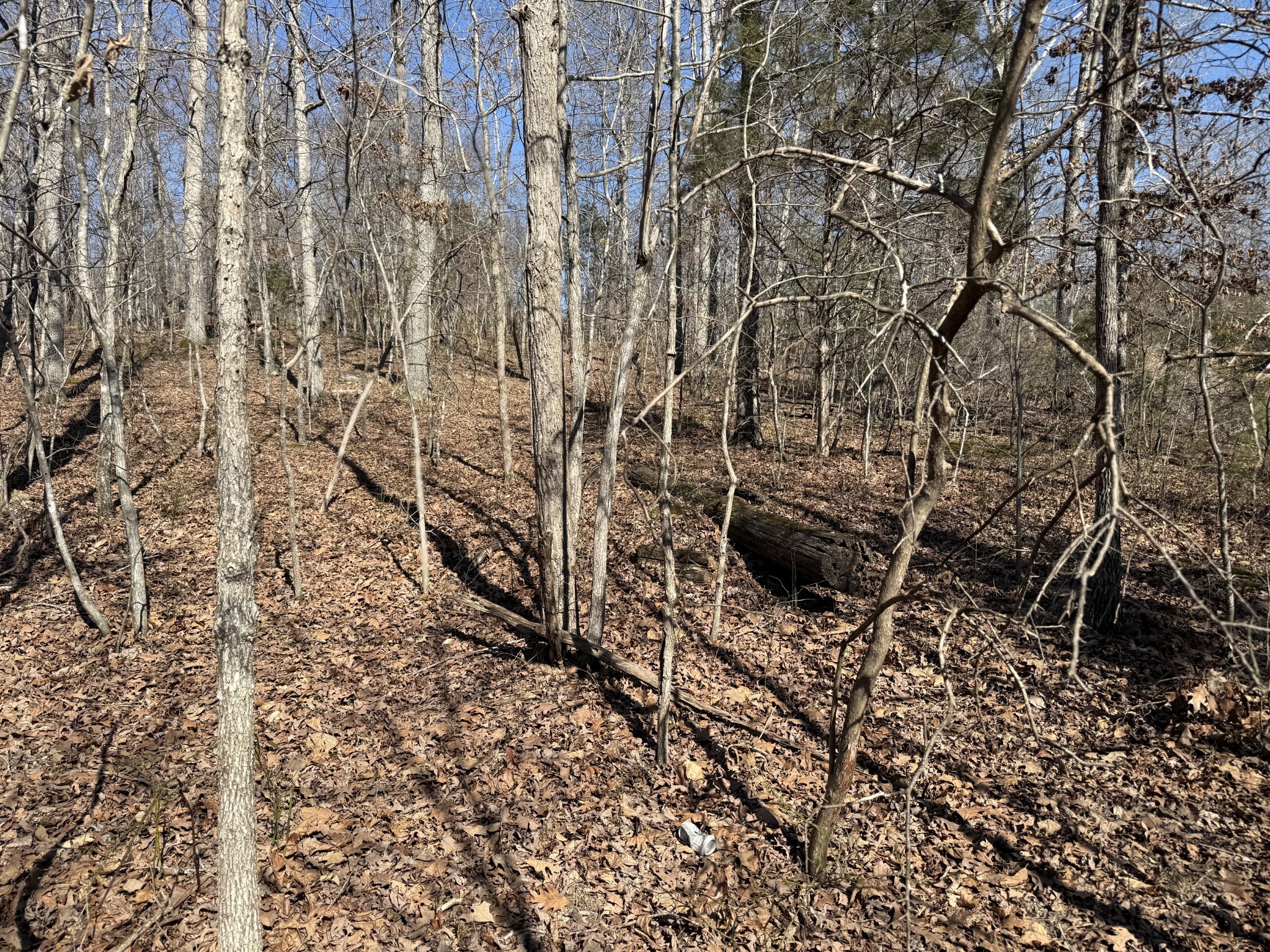 0 Hurricane Loop Tennessee Ridge TN 37178