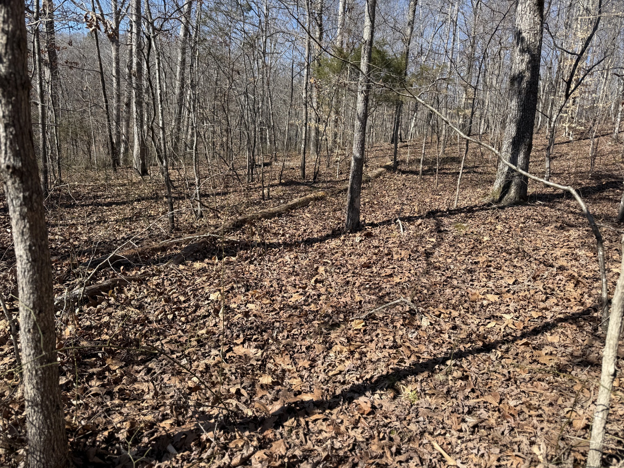 0 Hurricane Loop Tennessee Ridge TN 37178
