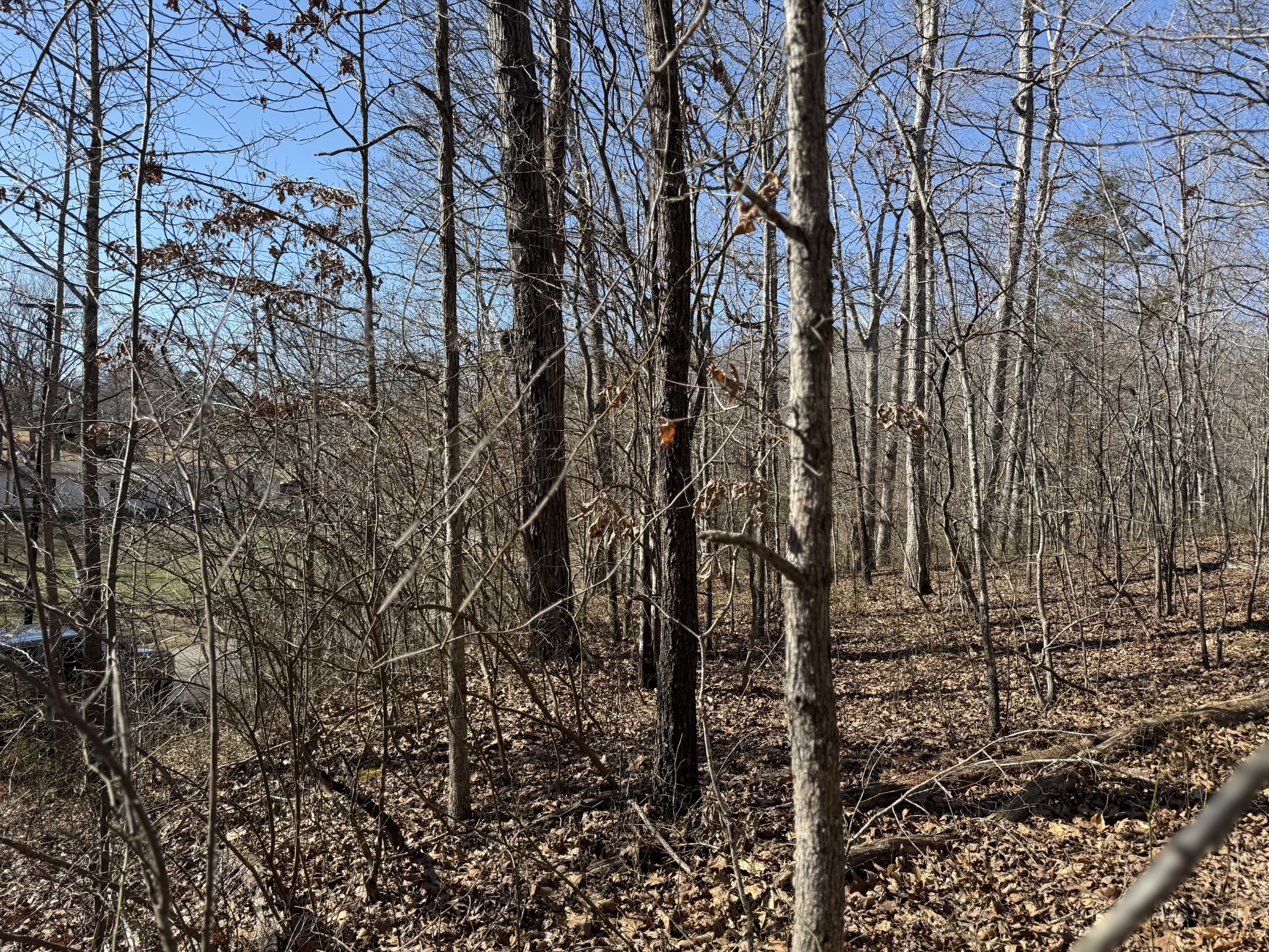 0 Hurricane Loop Tennessee Ridge TN 37178