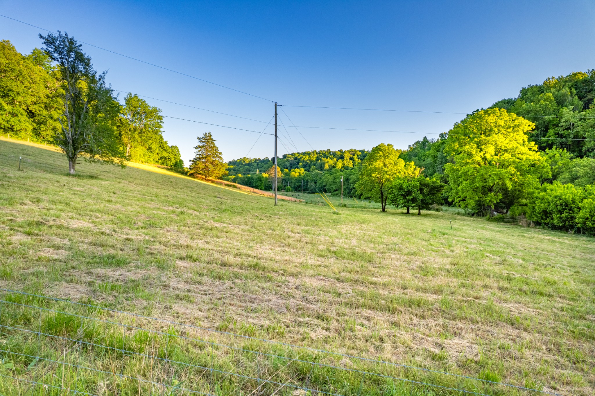 5 Young Road Pulaski TN 38478