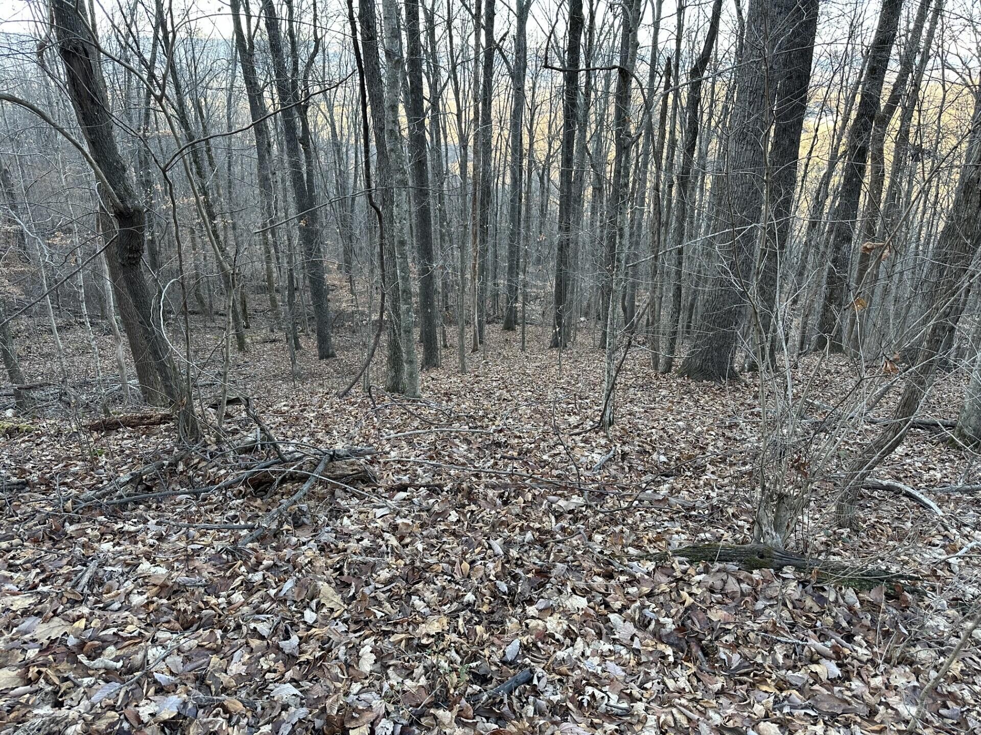76 Fox Ridge Pikeville TN 37367