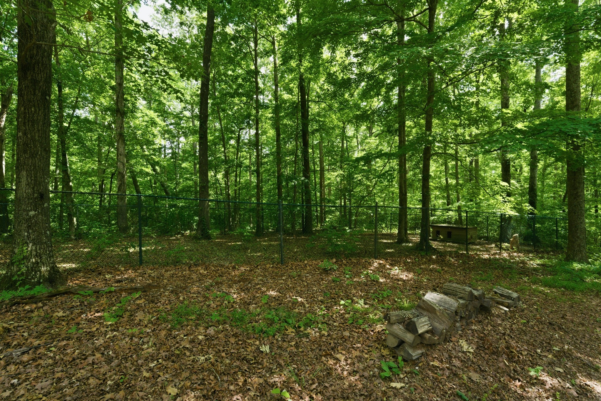 957 Ford Road White Bluff TN 37187