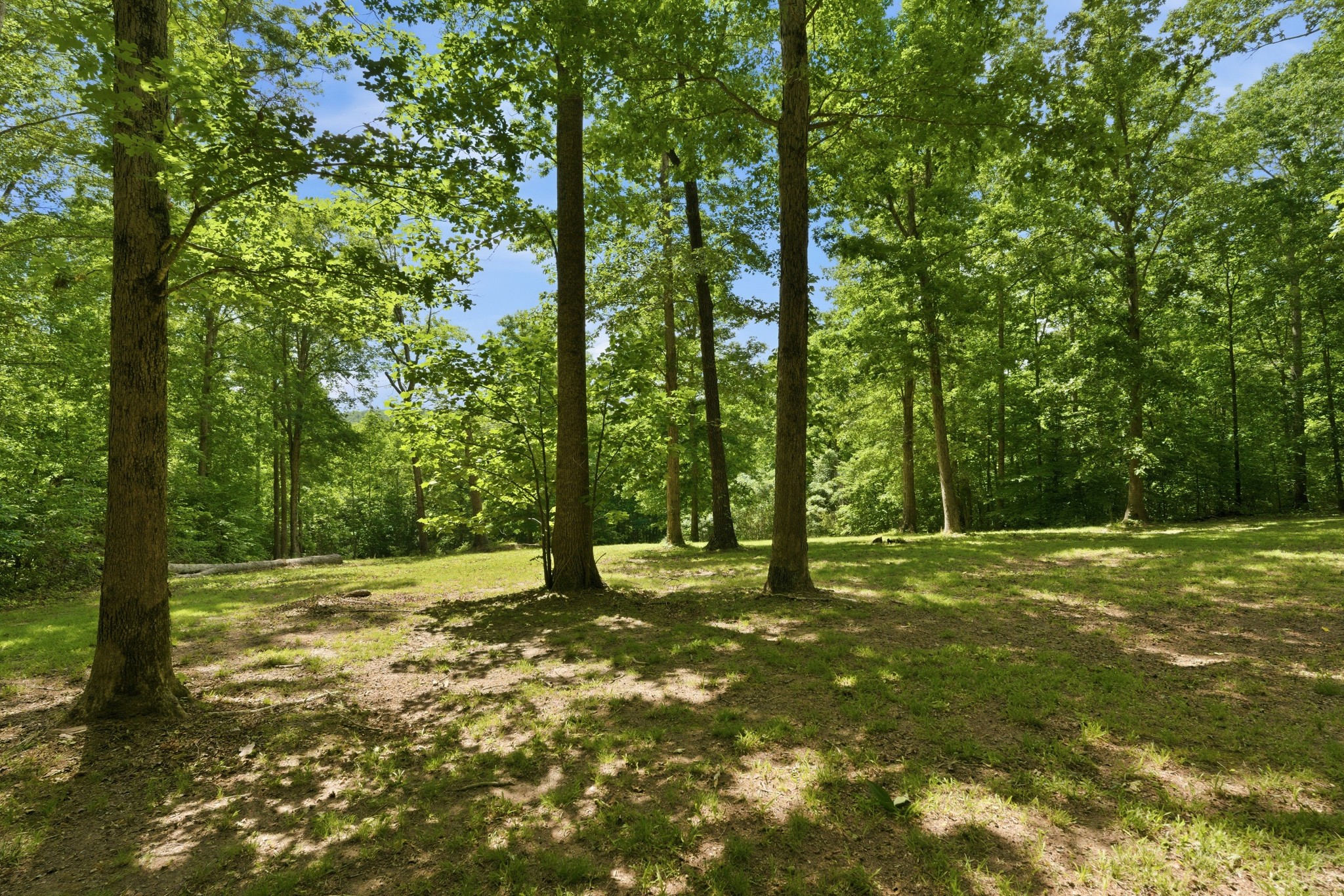 957 Ford Road White Bluff TN 37187