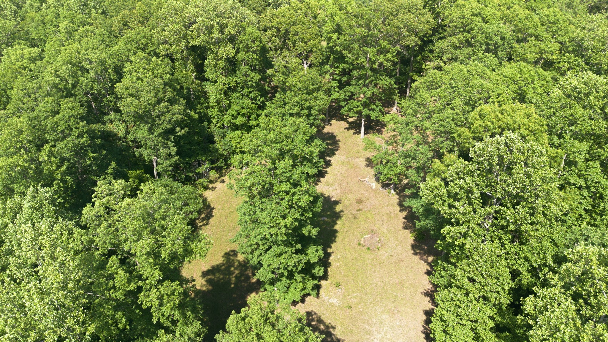 957 Ford Road White Bluff TN 37187