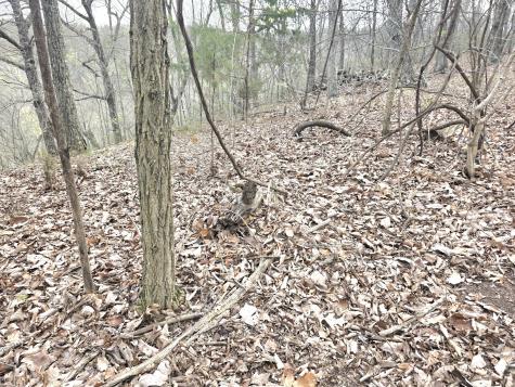 0 Windy Cut Drive Dowelltown TN 37059