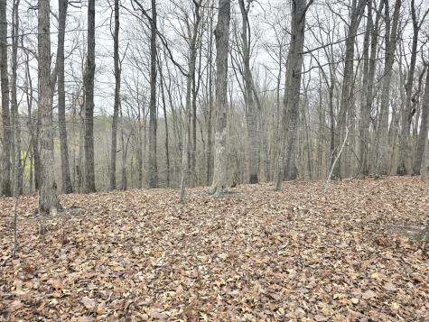 0 Windy Cut Drive Dowelltown TN 37059