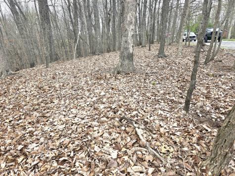 0 Windy Cut Drive Dowelltown TN 37059