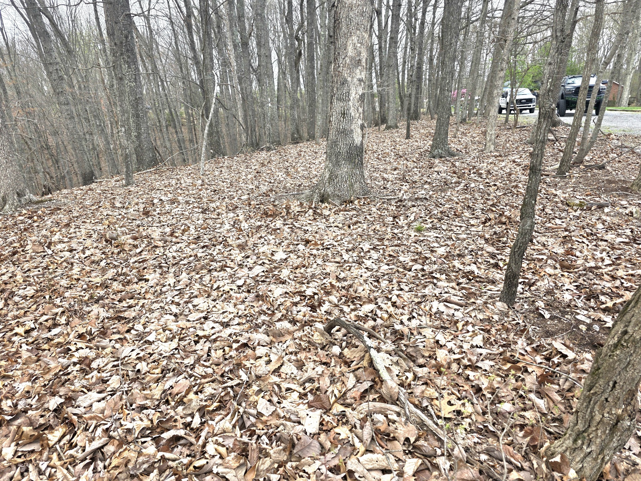 0 Windy Cut Drive Dowelltown TN 37059