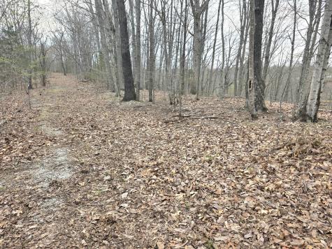0 Windy Cut Drive Dowelltown TN 37059