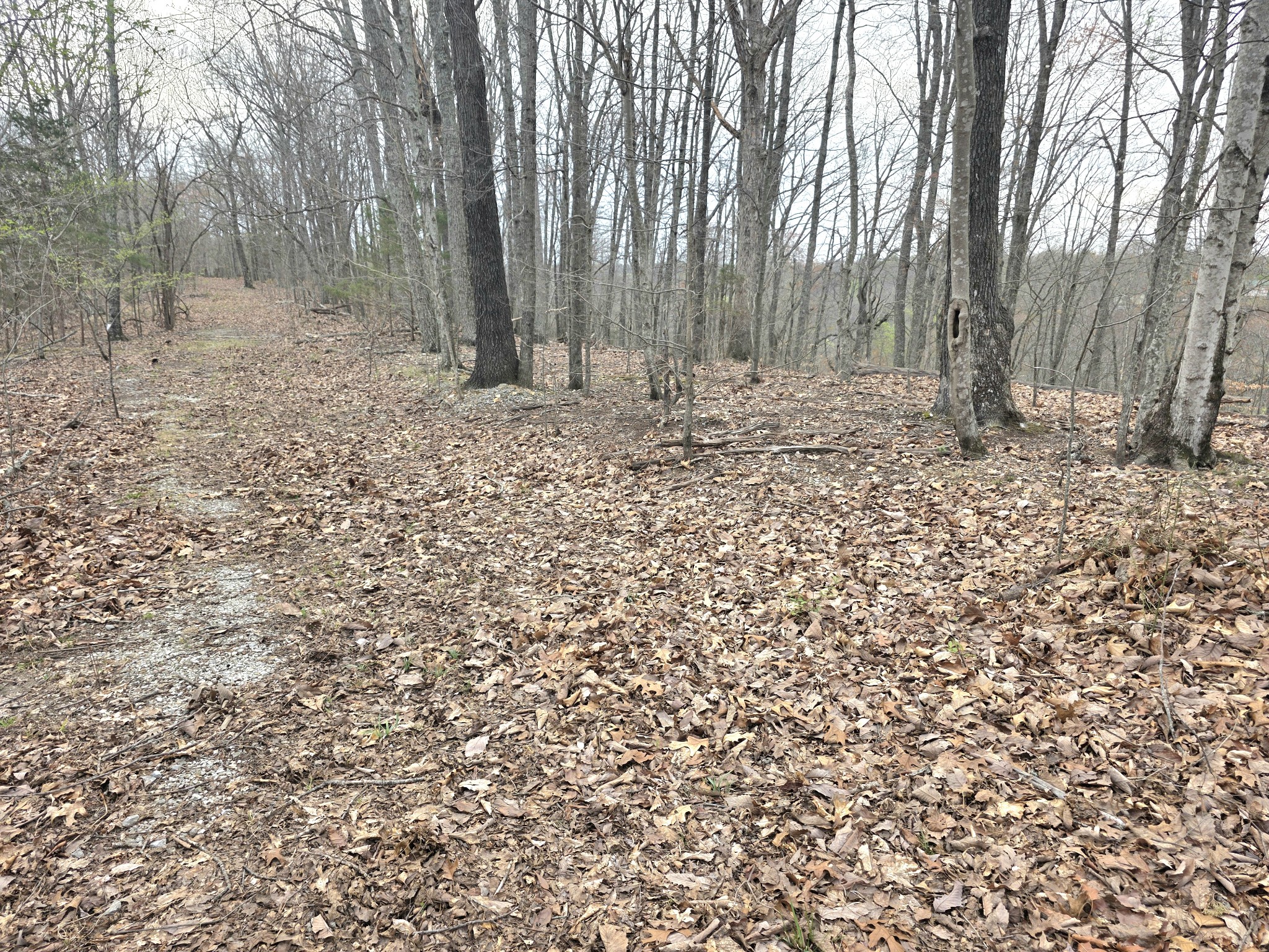 0 Windy Cut Drive Dowelltown TN 37059