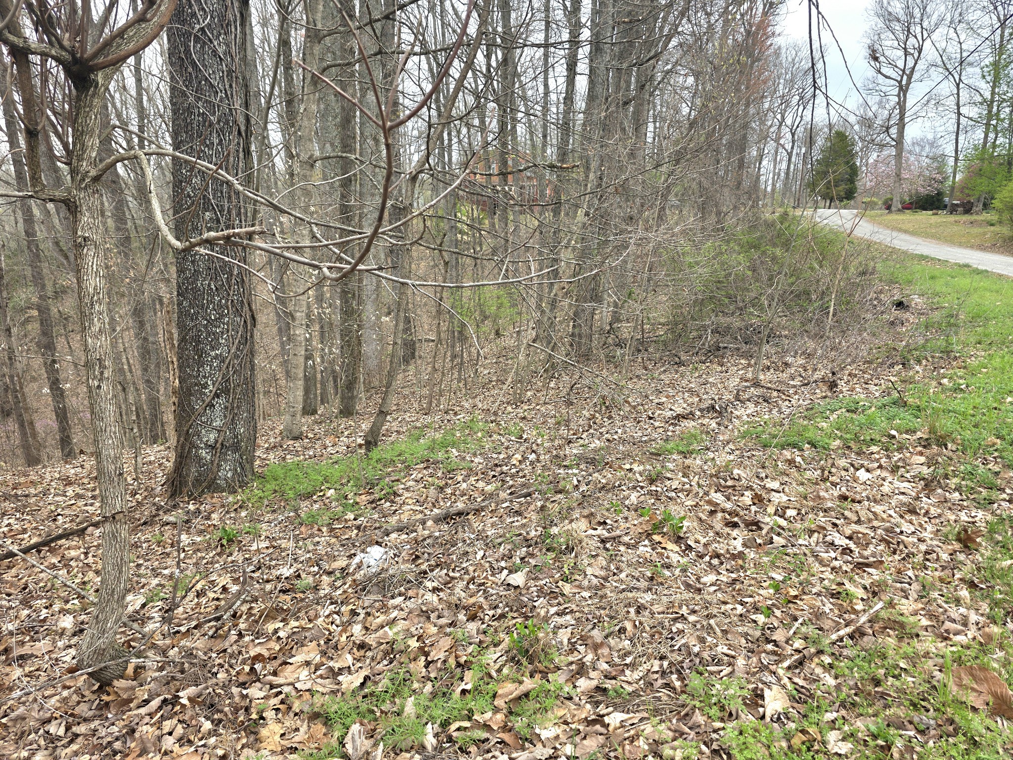 0 Windy Cut Drive Dowelltown TN 37059
