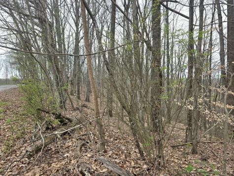 0 Windy Cut Drive Dowelltown TN 37059