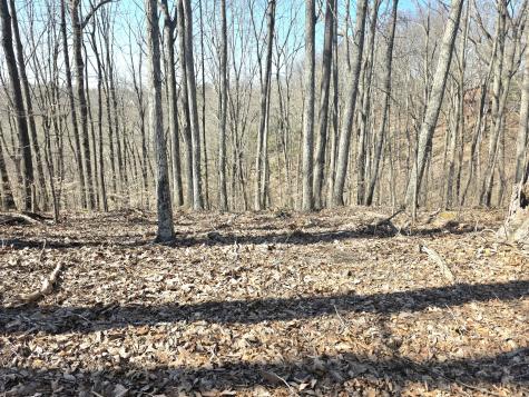 0 Windy Cut Drive Dowelltown TN 37059