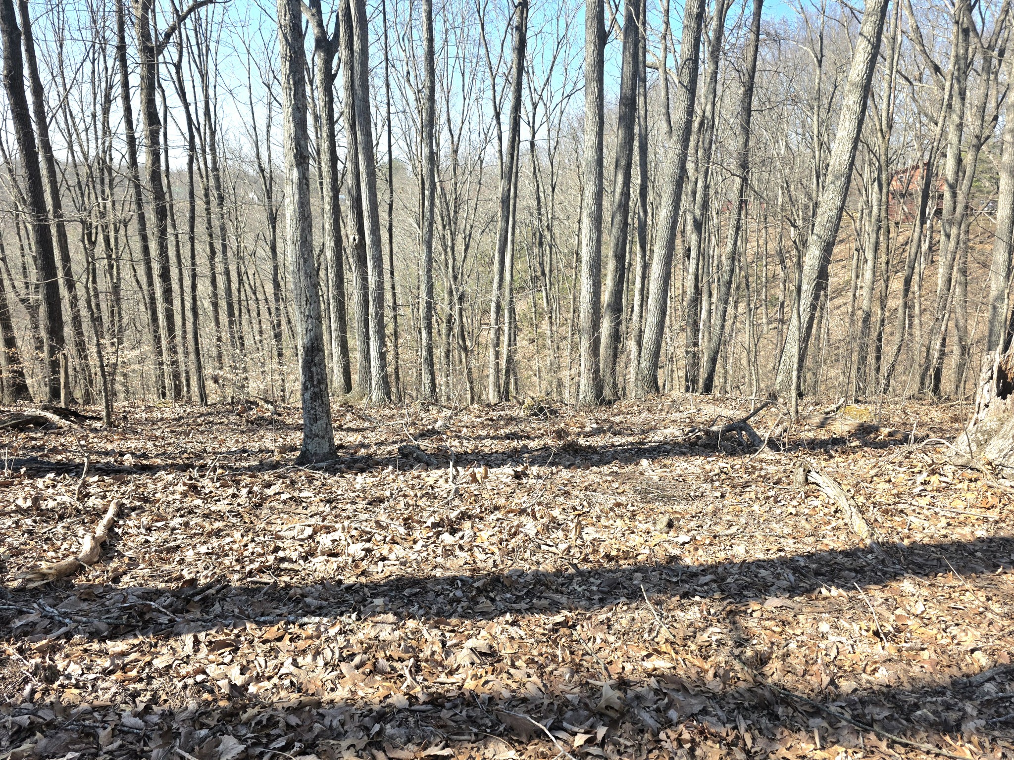 0 Windy Cut Drive Dowelltown TN 37059