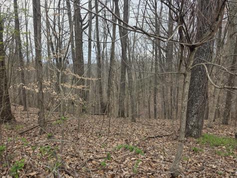 0 Windy Cut Drive Dowelltown TN 37059