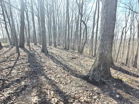 0 Windy Cut Drive Dowelltown TN 37059