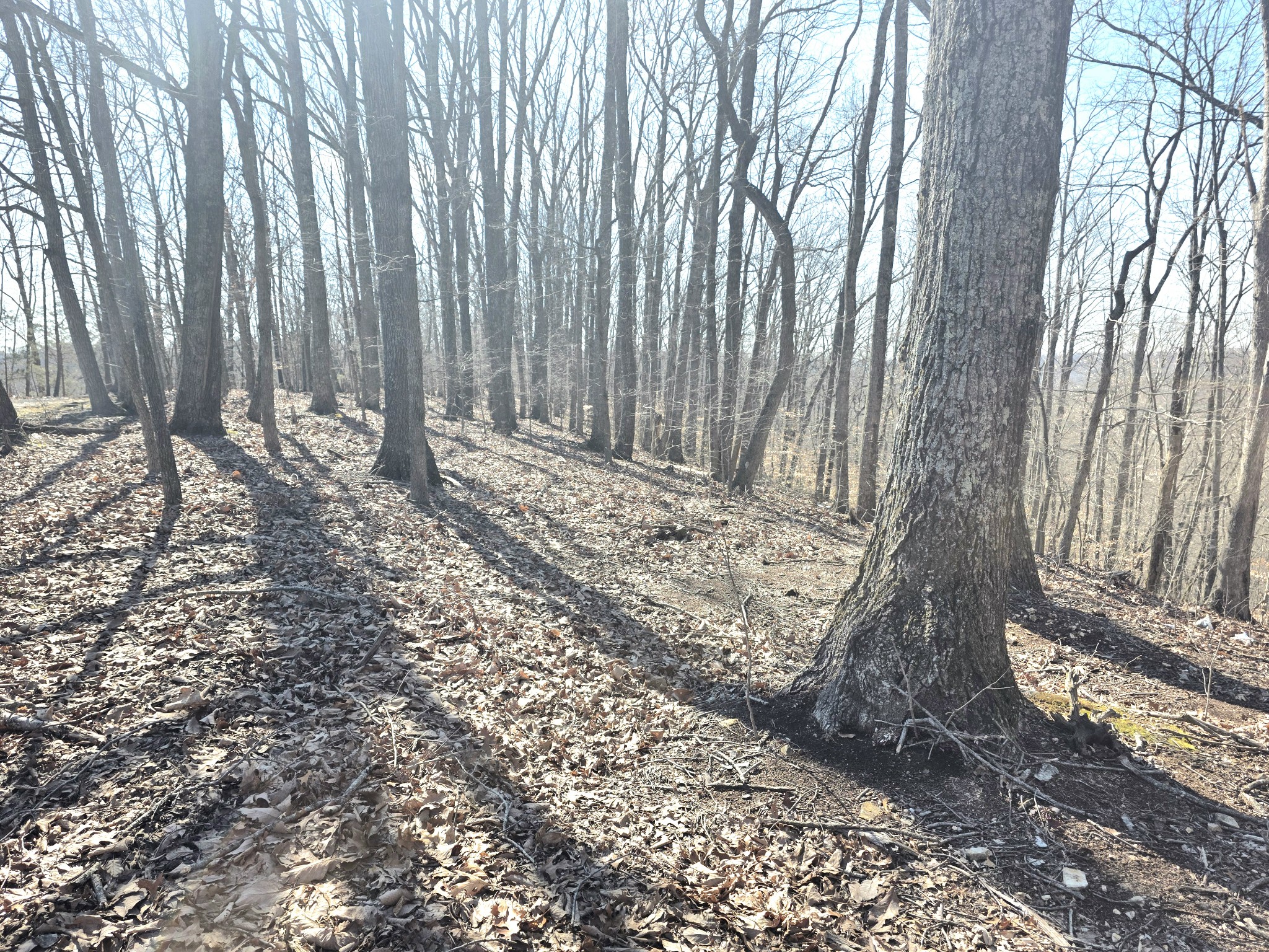 0 Windy Cut Drive Dowelltown TN 37059