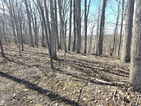 0 Windy Cut Drive Dowelltown TN 37059