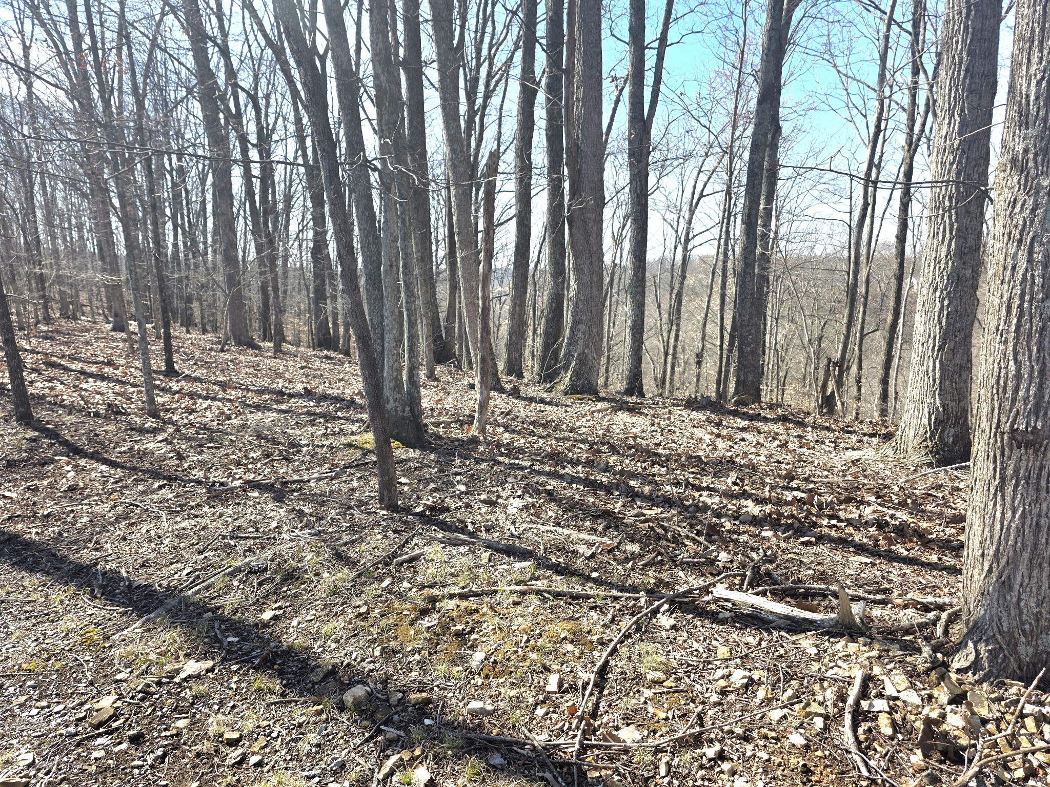 0 Windy Cut Drive Dowelltown TN 37059