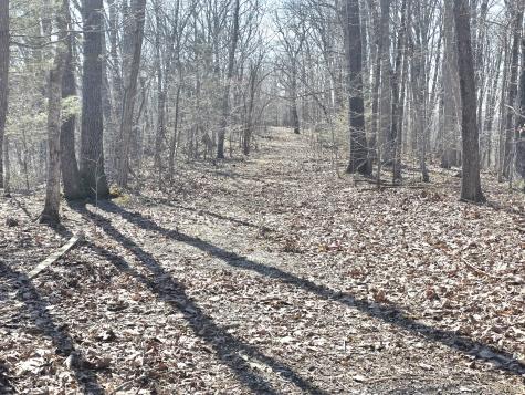 0 Windy Cut Drive Dowelltown TN 37059