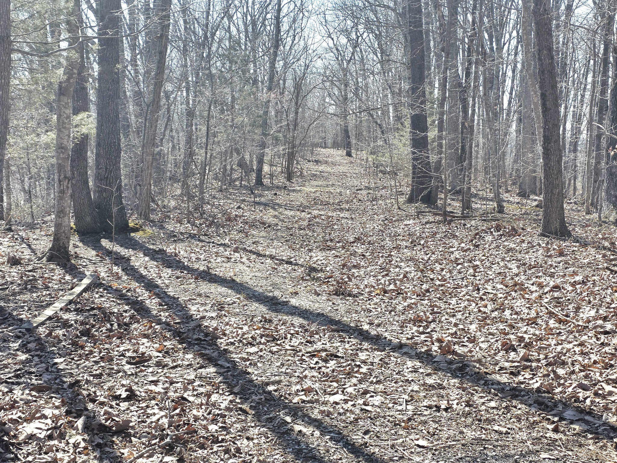 0 Windy Cut Drive Dowelltown TN 37059
