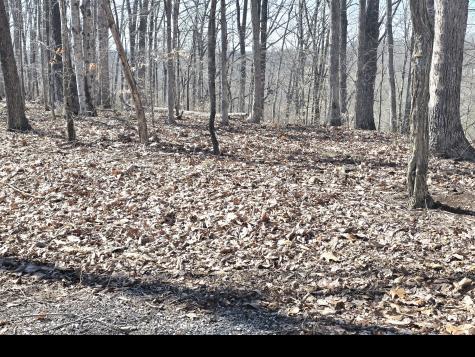 0 Windy Cut Drive Dowelltown TN 37059