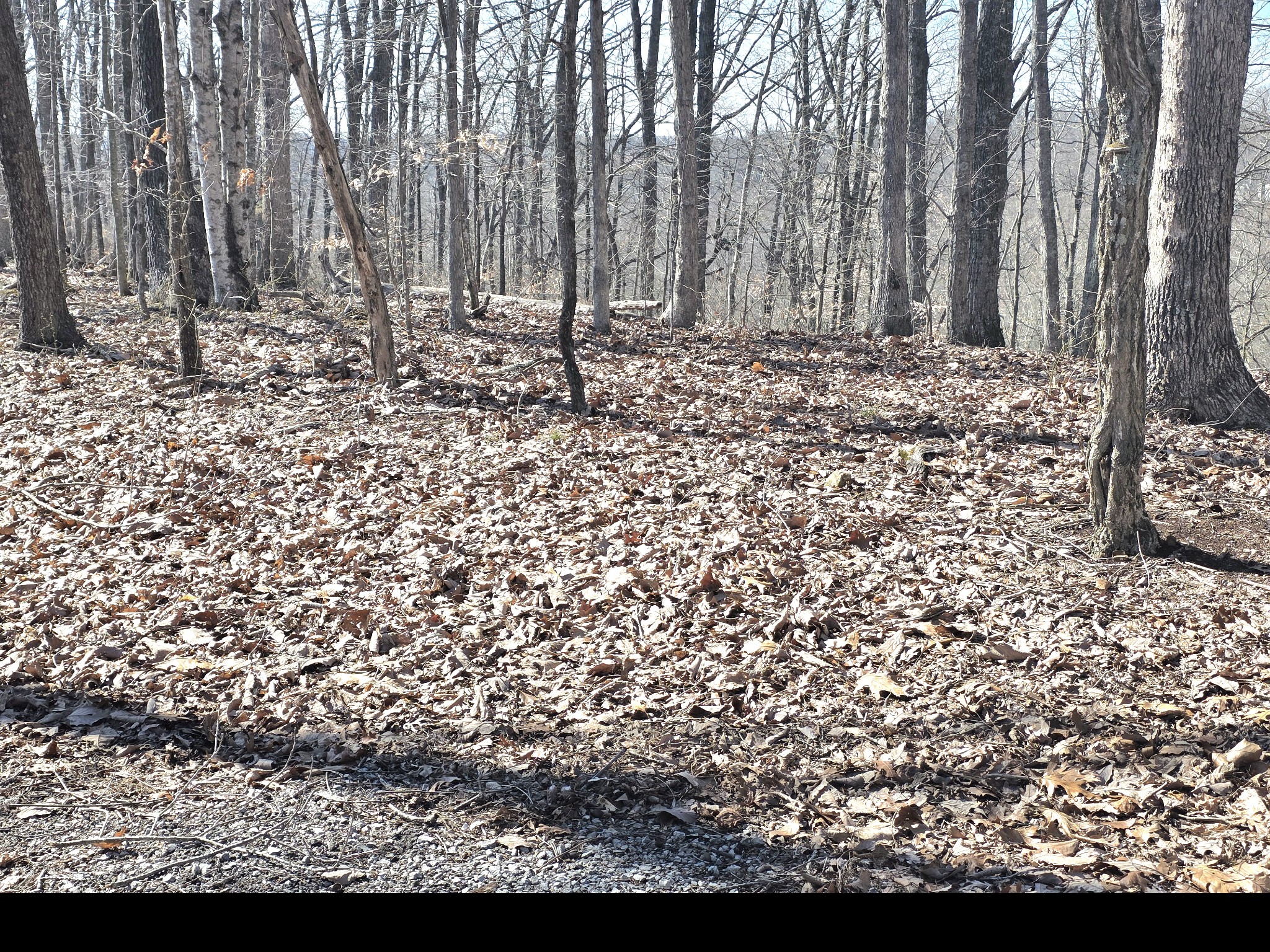 0 Windy Cut Drive Dowelltown TN 37059