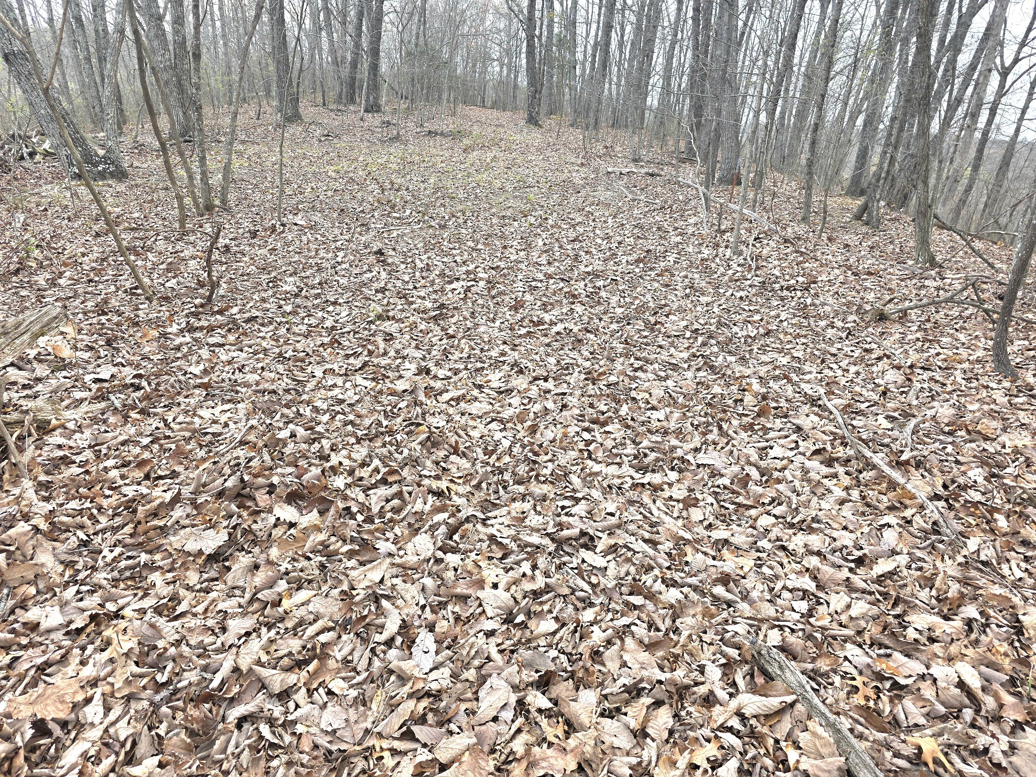 0 Windy Cut Drive Dowelltown TN 37059