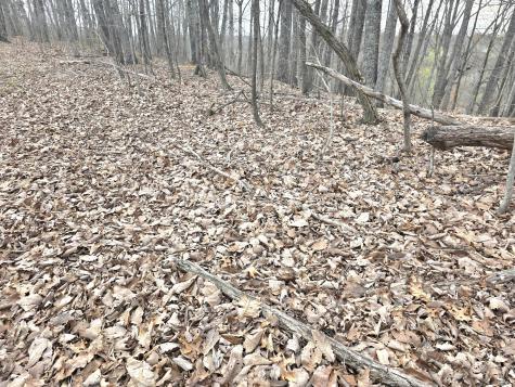 0 Windy Cut Drive Dowelltown TN 37059