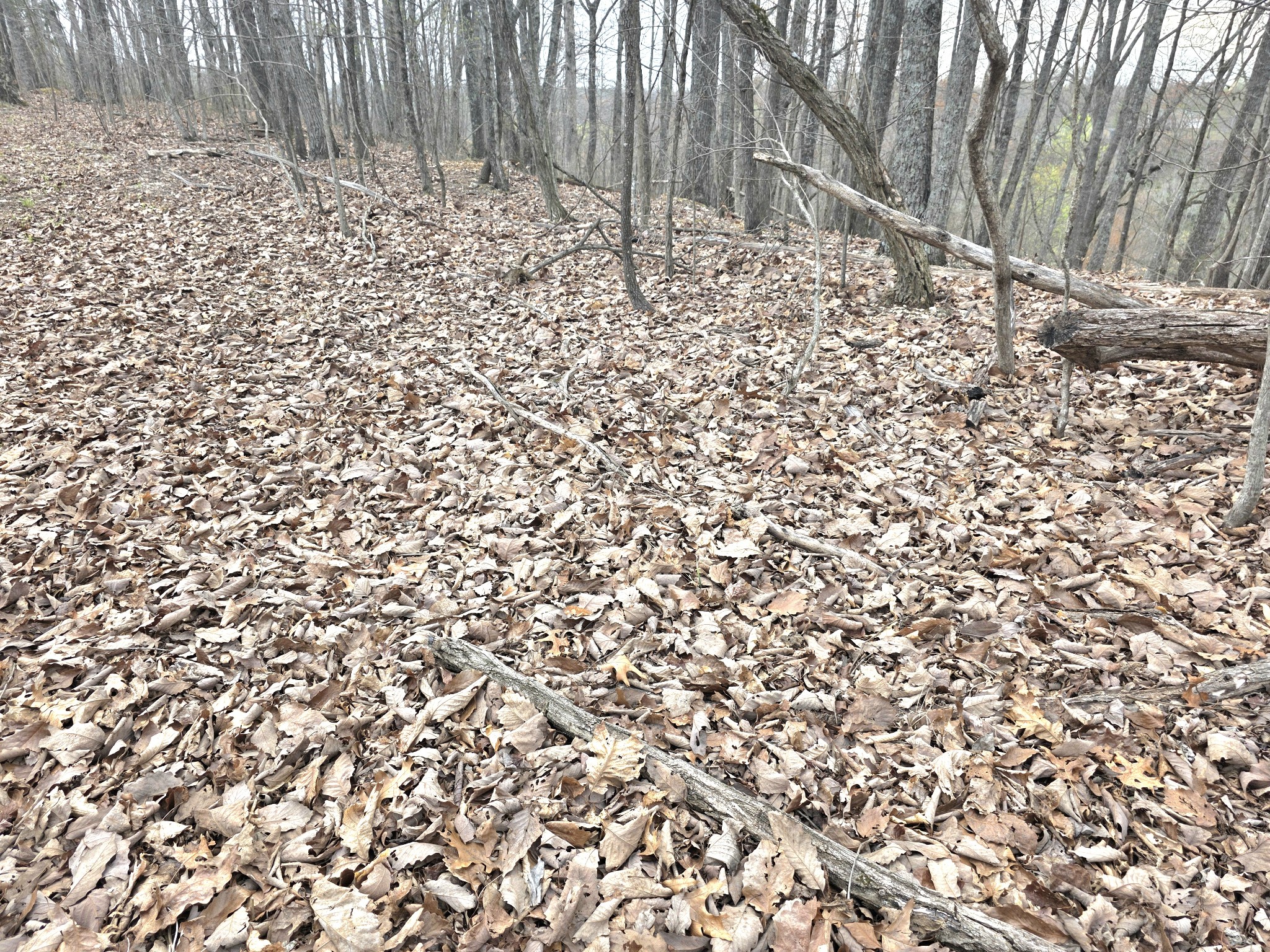 0 Windy Cut Drive Dowelltown TN 37059