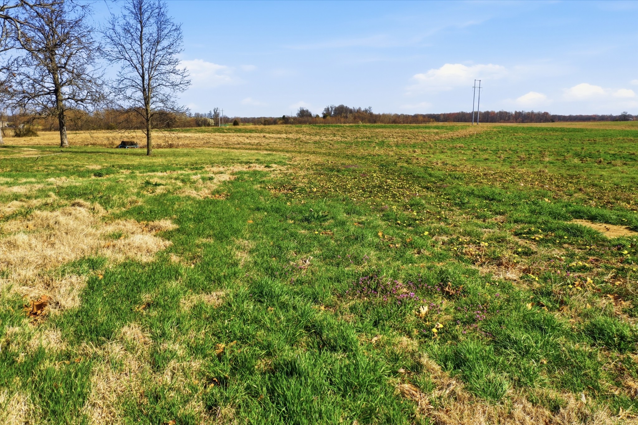 3 Highway 161 Springfield TN 37172