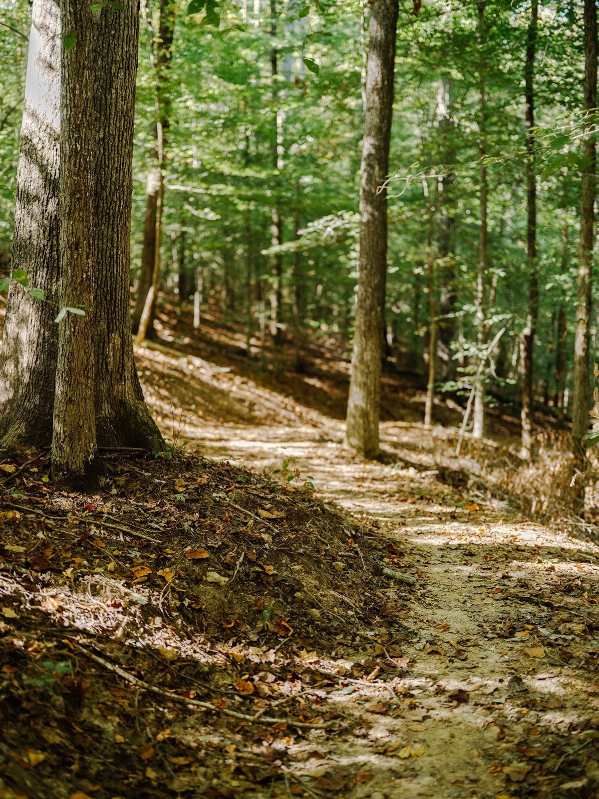 0 Pinewood Road Franklin TN 37064